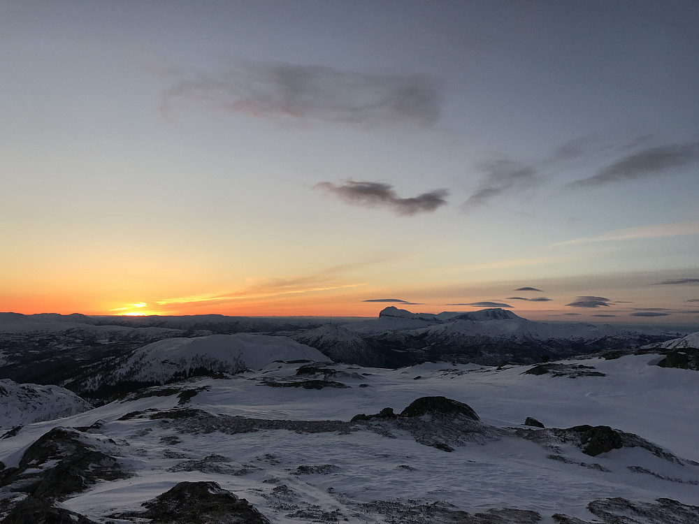 Storehesten i solnedgang...