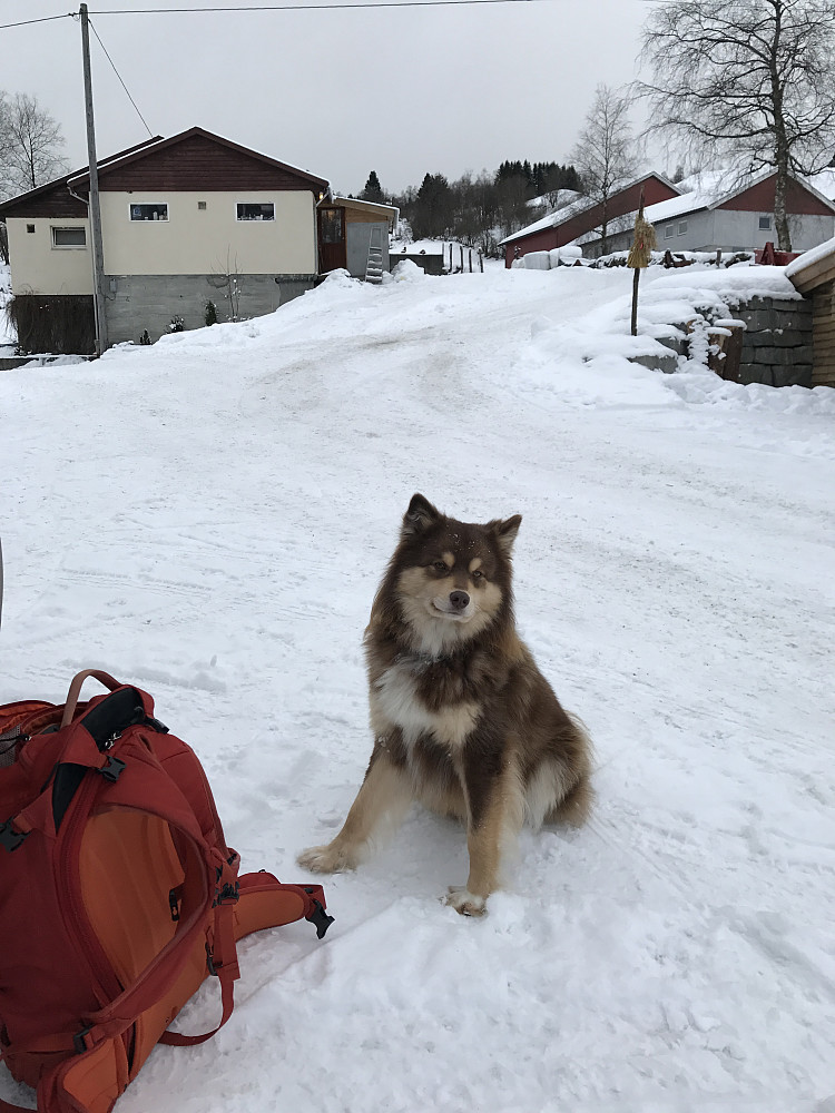 Lokal guide og turkompis :) 