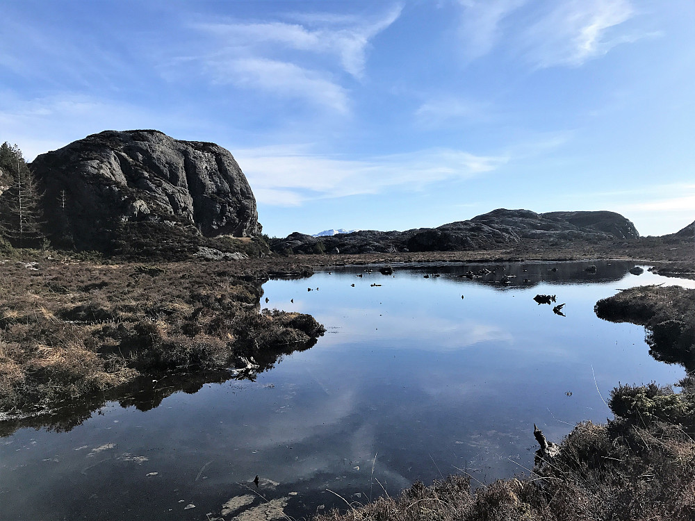 Alltid like flott å sjå dei urgamle fururøttene i vatna her ute. Minner ifrå ei tid med store furukledde skoger her på kysten.