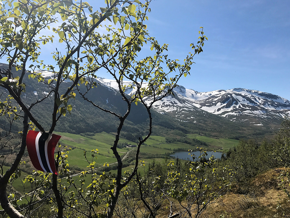 Fint merka sti :) Dvergsdalen og Grovabreen i bakgrunn!