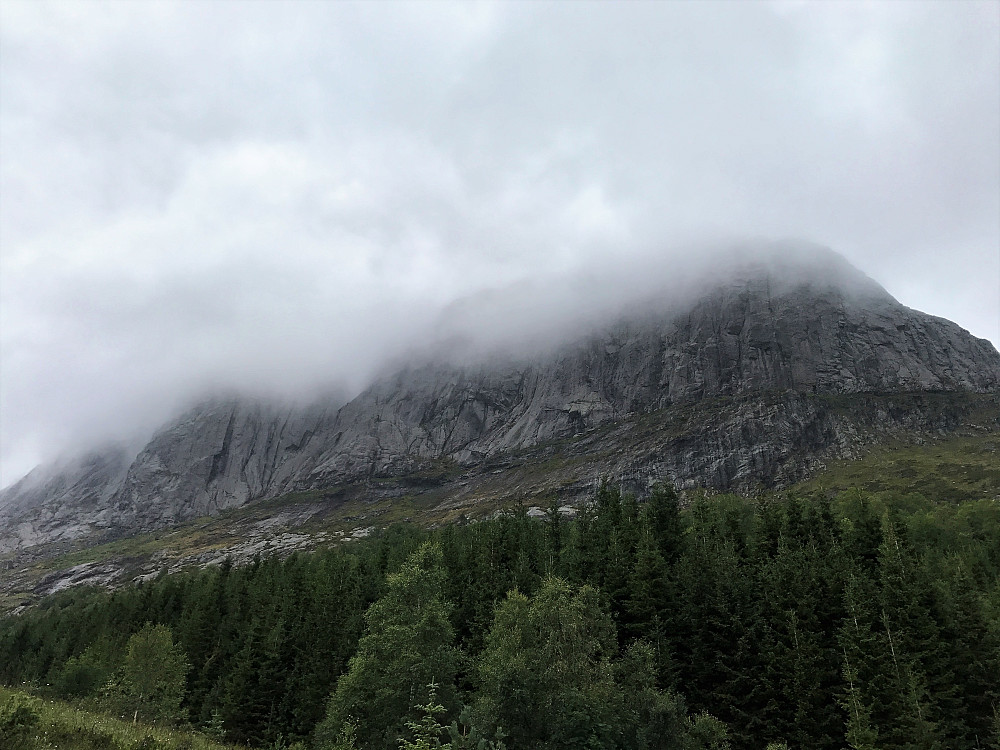 Ein majestet uansett kappe!