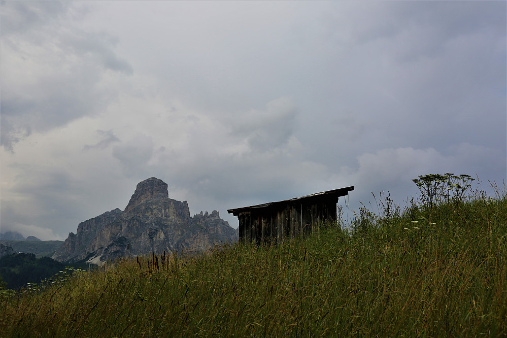 Sassongher 2665 moh