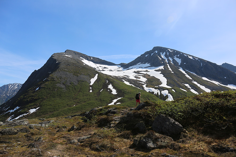 Mot ryggen opp til første topp Sylvkallen 1310 moh