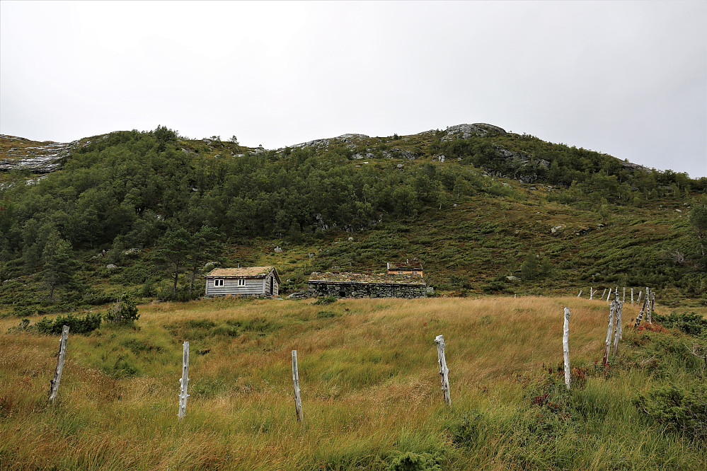 Mot toppen Årnesholten 790 moh, ein slags sti var å følge bak Årnesstølen