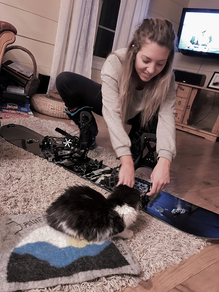 Eit koselig syn å komme heim til :) Ei som har fått montert på bindingane sine! Klar for vintersesong med sitt nye splitboard :)