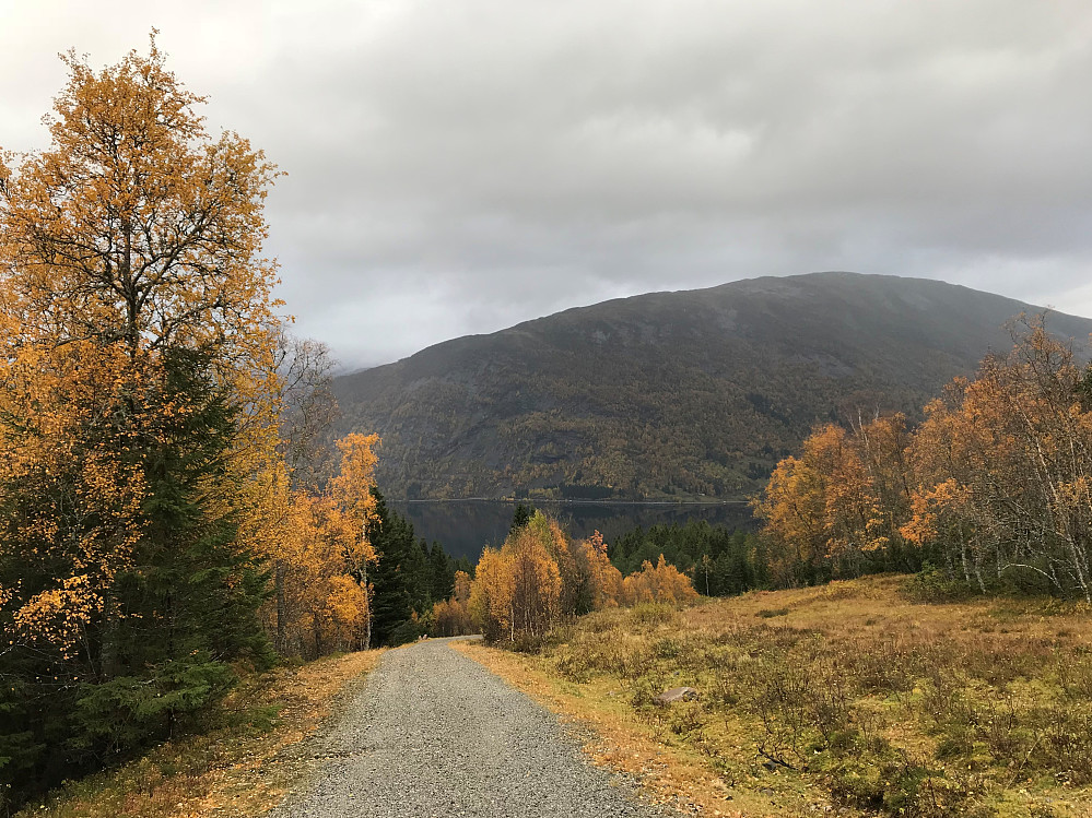 Mot Bjørsetfjellet 1003 moh. Jølstravatnet og "skjærsura" ved E-39
