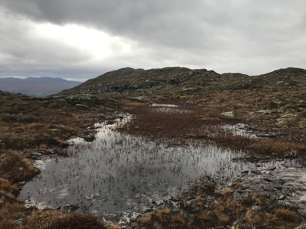 Via Larstunsstøylen mot Eikåsnipa 826 moh