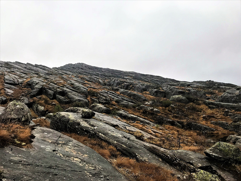 Snart mot toppen av Gløsen 694 moh/Flora