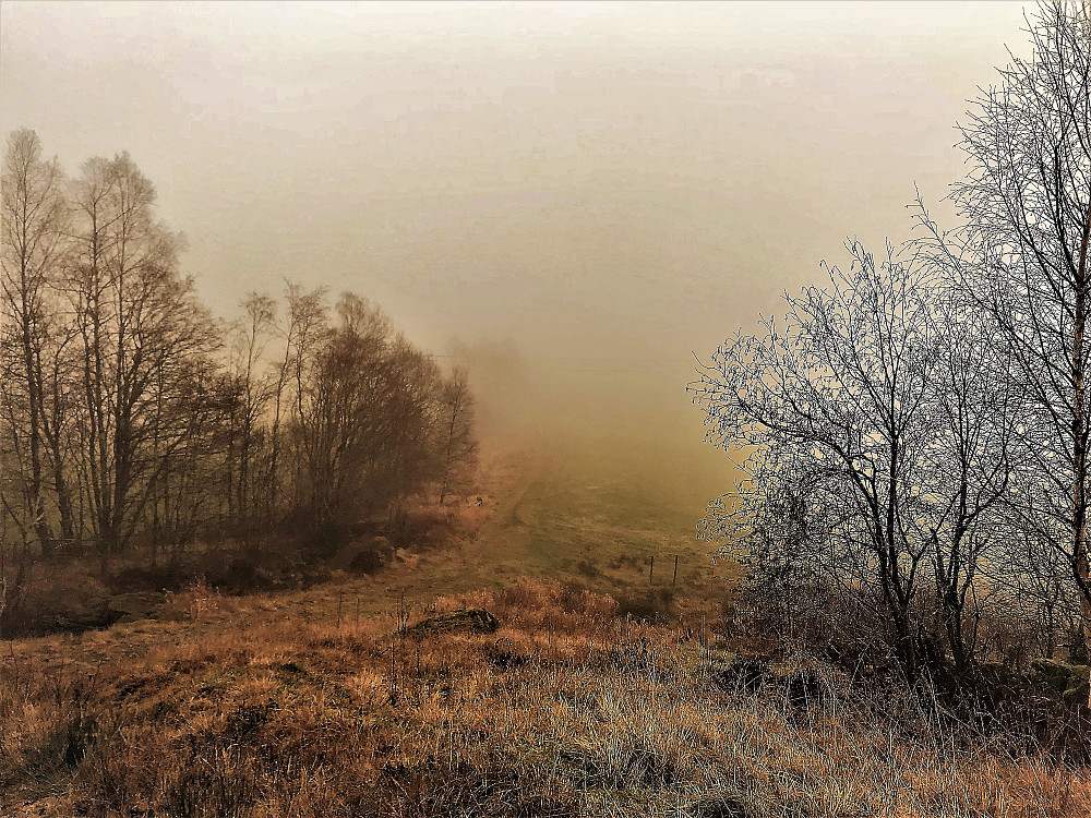 Eventyrbeitet- Eikås