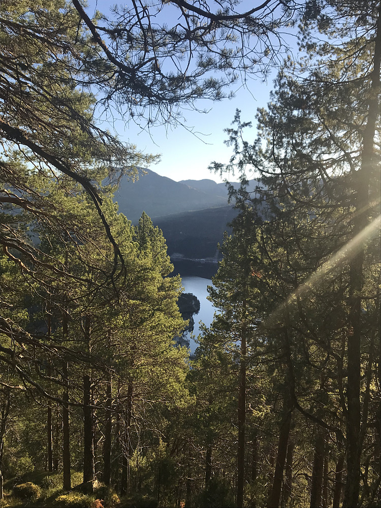 Varmt, stille og fint i lett treningstøy etter årstida!