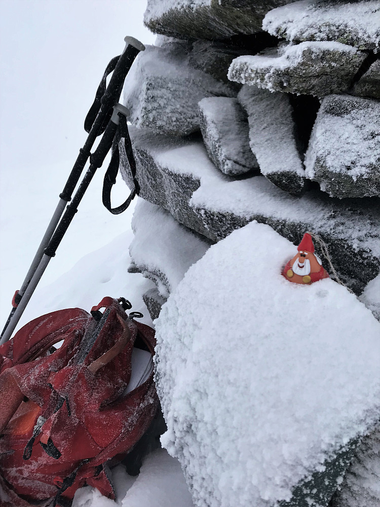 God Jul ifrå Eikåsnipa