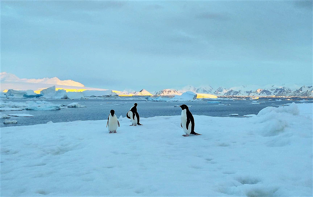 Øyeblikk ved forskningsstasjonen Rothera, Adelaide Island vest for Den antarktiske halvøy. 24.12 Foto: Espen Eikås