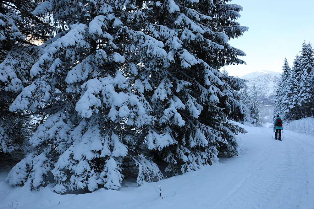 Vinter landet...