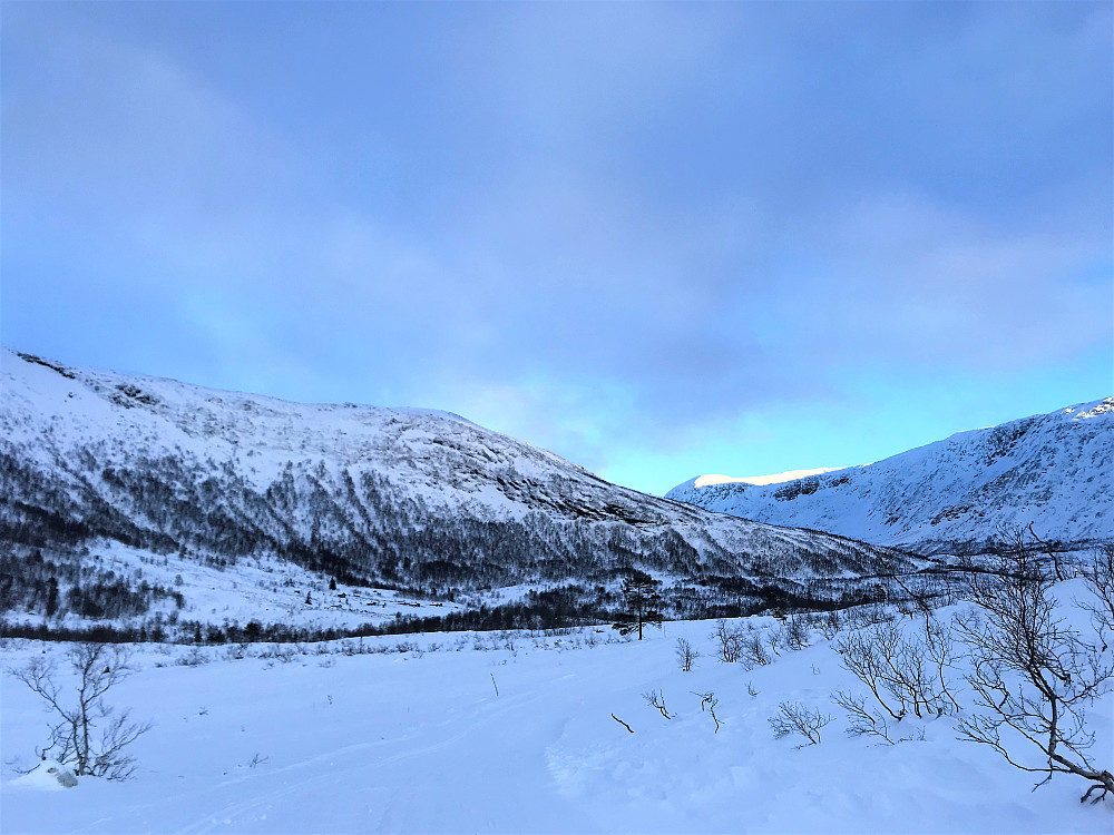 Ved Storehaugen 621 moh Mot Gjestdalsstøylen 570 moh og vidare inn mot Søstestøylen