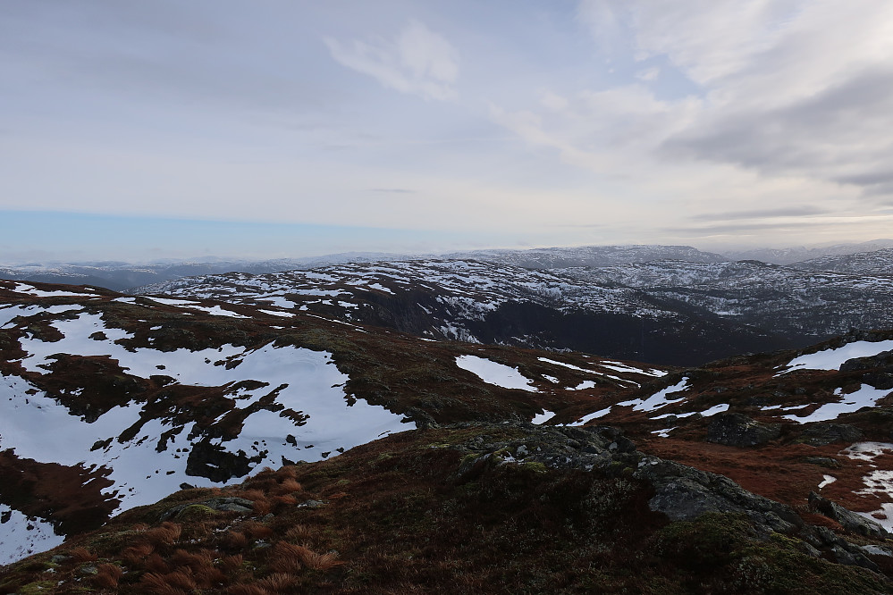 Ifrå Ramsgrønova 590 m mot Flateheia 572 m