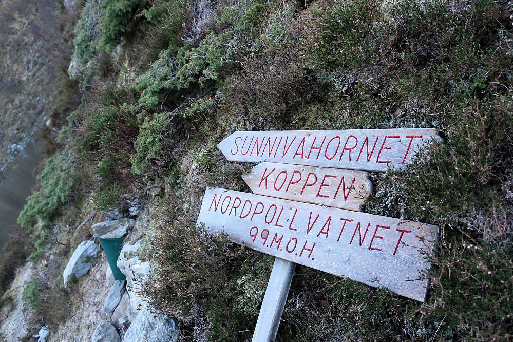 Valgte å følge vidare stien som er merka også vidare ifrå Nordpollvatnet mot Synnivahornet som er ein nær nabo til Vardefjellet. Tanken var å gå på nordaust sida av vatnet og så vidare rett opp slukta mellom dei to tenkte tur toppane. Men var litt nyfiken på turstien mot Sunnivahornet også ifrå dette utgangspunktet. Returen går ned igjen som turen var tenkt opp i utgangspunktet.