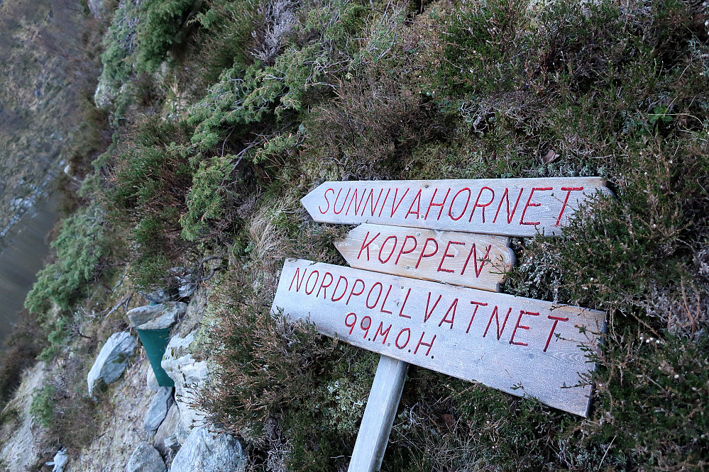 Valgte å følge vidare stien som er merka også vidare ifrå Nordpollvatnet mot Synnivahornet som er ein nær nabo til Vardefjellet. Tanken var å gå på nordaust sida av vatnet og så vidare rett opp slukta mellom dei to tenkte tur toppane. Men var litt nyfiken på turstien mot Sunnivahornet også ifrå dette utgangspunktet. Returen går ned igjen som turen var tenkt opp i utgangspunktet.  