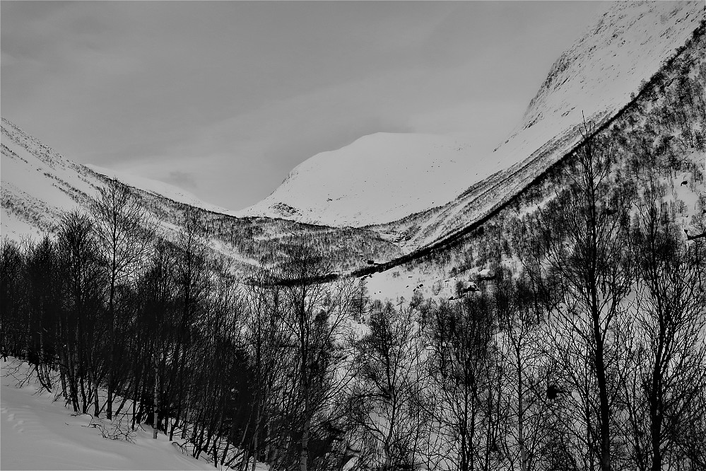 Ein nydelig tur oppover Haugadalen mot Tverrfjellet og Hanekammen 1651 moh