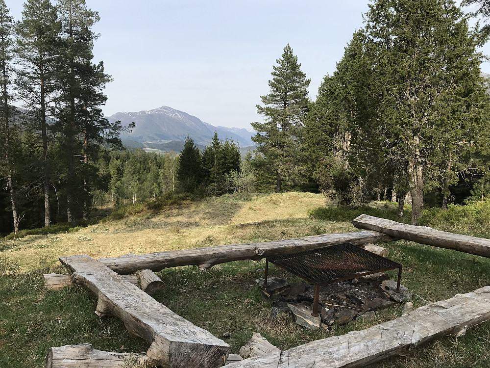 Fin kvelds løpstur til Mostøylen
