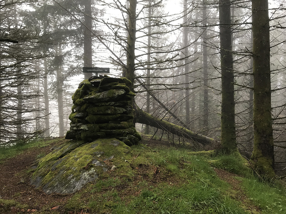 Fin morgenstund på Ljosvollsvarden