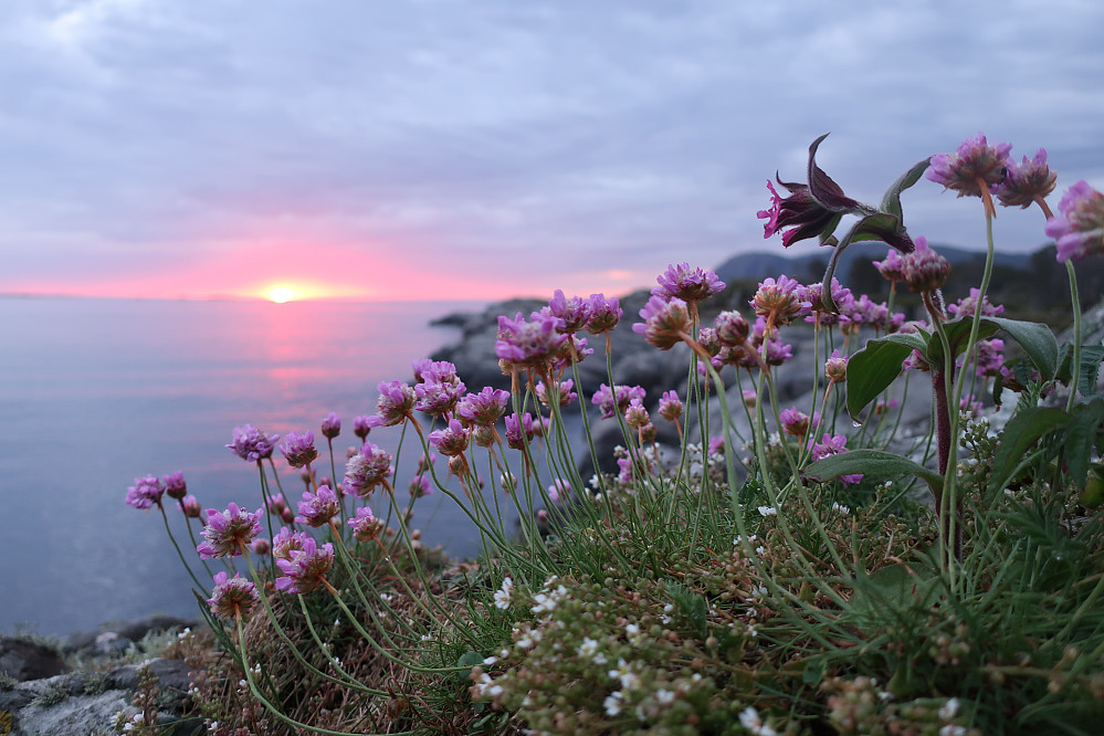 Sommer & solnedgang med ei øy for seg sjølv! 