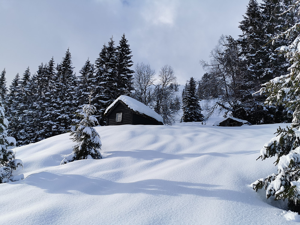 Mykje snø som er komt og kraftige dagar med vind! 
