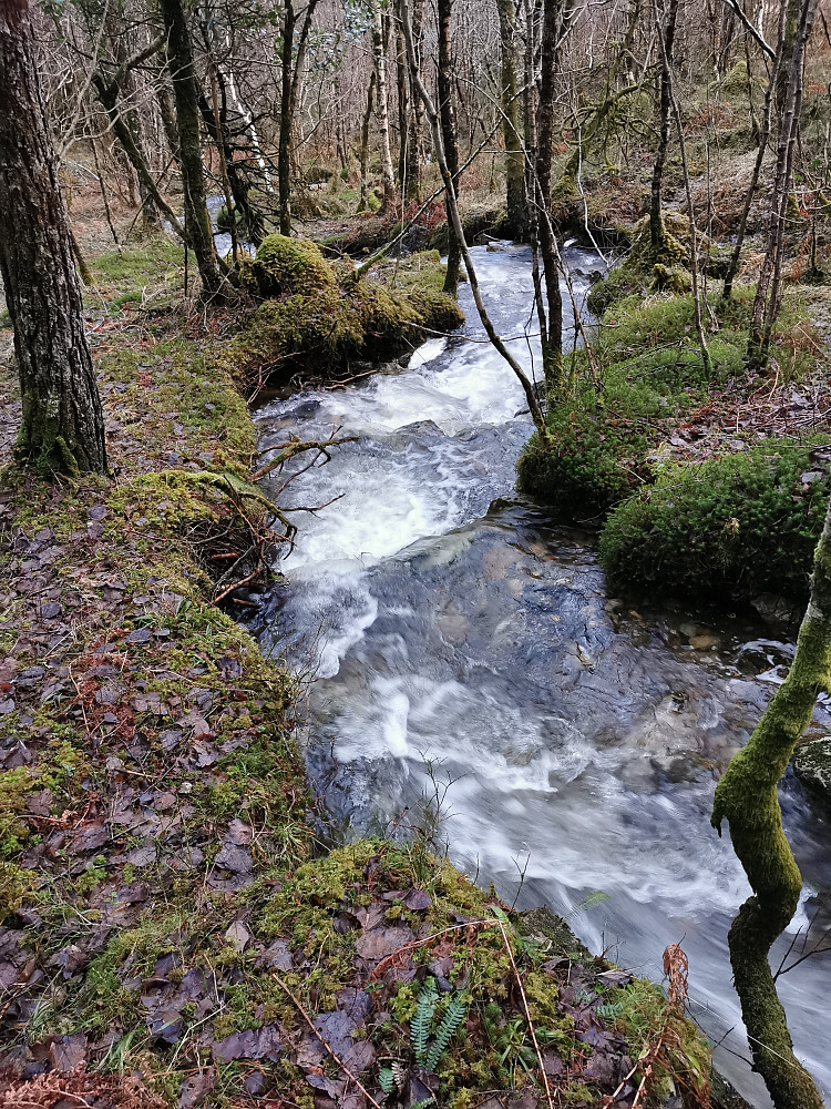 "Tømme vinteren i ei elv" Som Staut syng så flott :) 