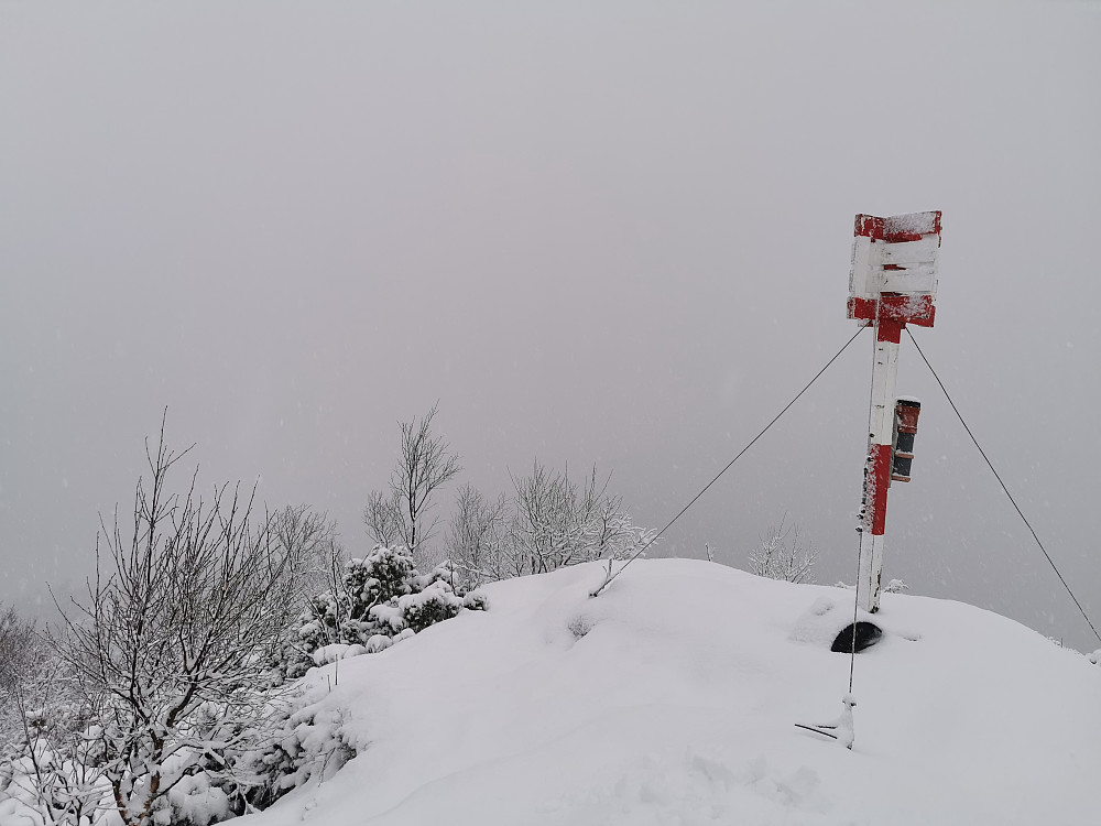 Ein tur oppom barndomsfjellet i forbifarten må til :) 