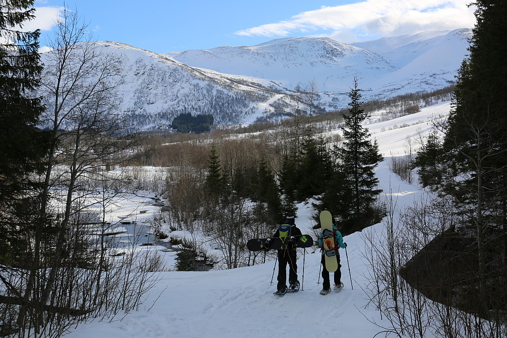 Gode meldinger på føremiddag før storm. Resultat fin tur mot Olahansfjellet ifrå Myklebustdalen.