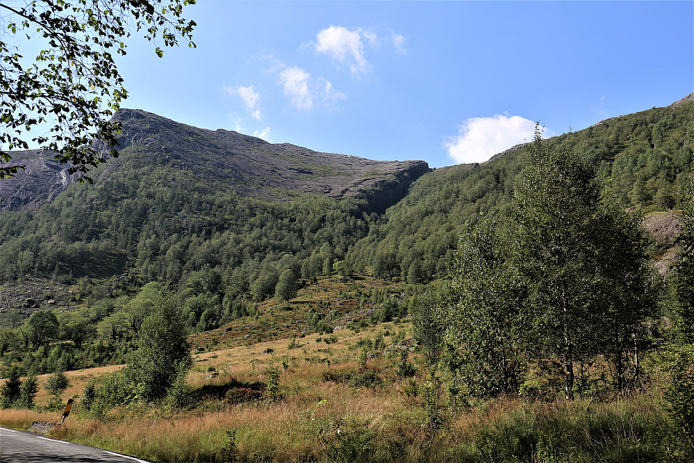 Start ifrå Grøndalen og like ved turmerka sti til Blåbrebu. Eg valgte å trakke mitt eige spor mot første turmål Dyrebotsnipa 899 moh