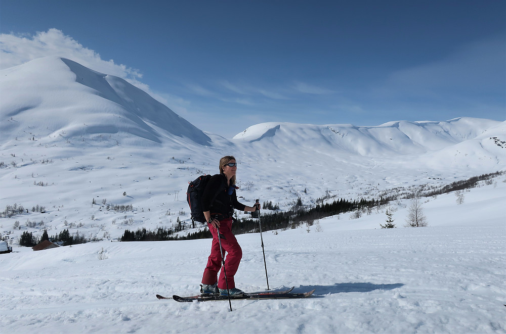 Ifrå litt over Husstøylen ca 560 moh med Såtefjellet 1065 moh og innover mot Langebottnsegga i bakgrunn!
