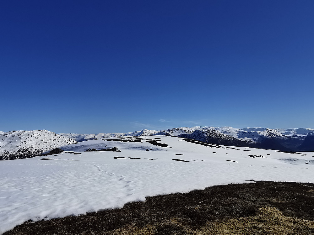 Mot høgste punkt av Viafjellet 709 moh