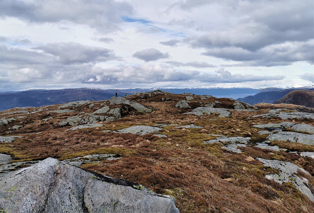 Mot toppen av Bårdfjellet var det ikkje vanskelig å sjå kva høgde som var høgst på denne toppen! Ingen tvil etter å ha trakka over høgdedraga og studert gps målingane. I tillegg fekk ein bekrefta høgda når ein går inn på norgeskart.no  