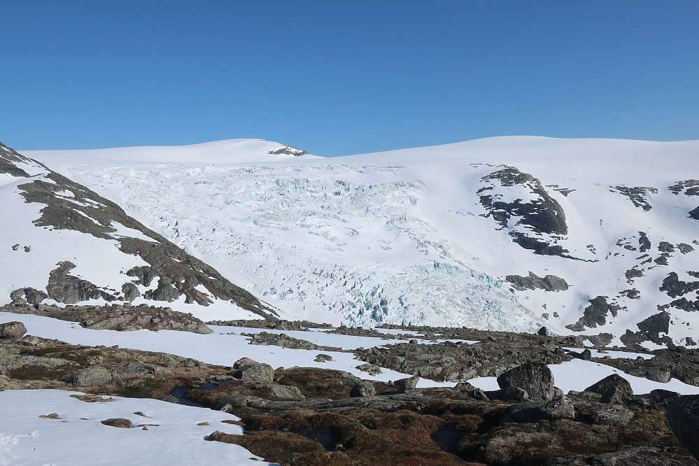 Mot Briksdalsbreen, Kvitekoll ifrå Svartenibba