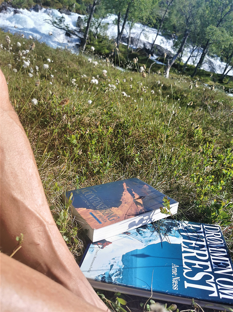 Fint å nyte ettermiddags stilla for seg sjølv med god litteratur og nydelig solvarme! 
