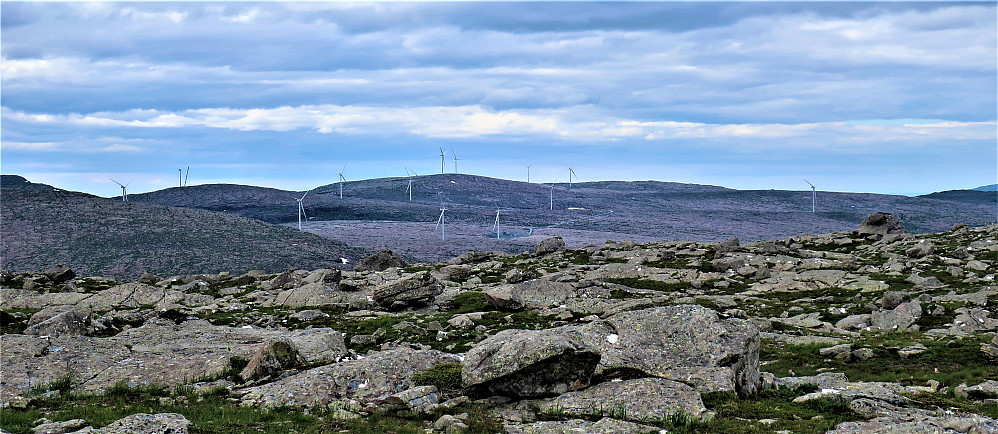 Den påbegynte vindmølleparken "Guleslettene" er eit av dei nye syna som møter deg ifrå Ramsskredfjellet 793 moh /Bremanger