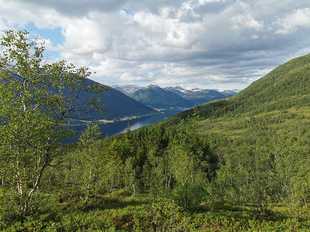 Ifrå Bjørndalen