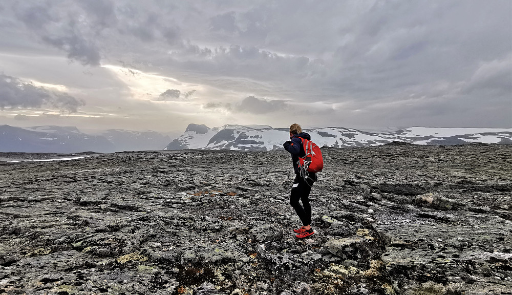 Ifrå Skarsteinsfjellet mot Ceciliekruna