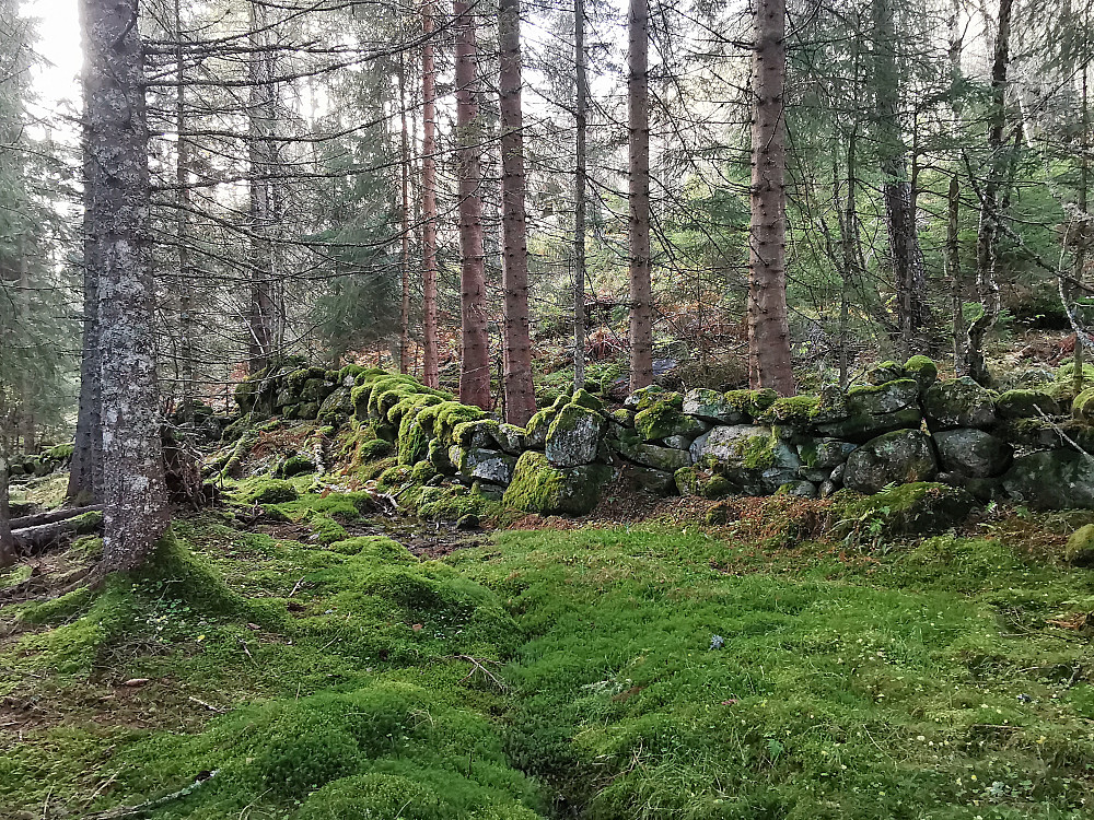 Gamle minner og skatter