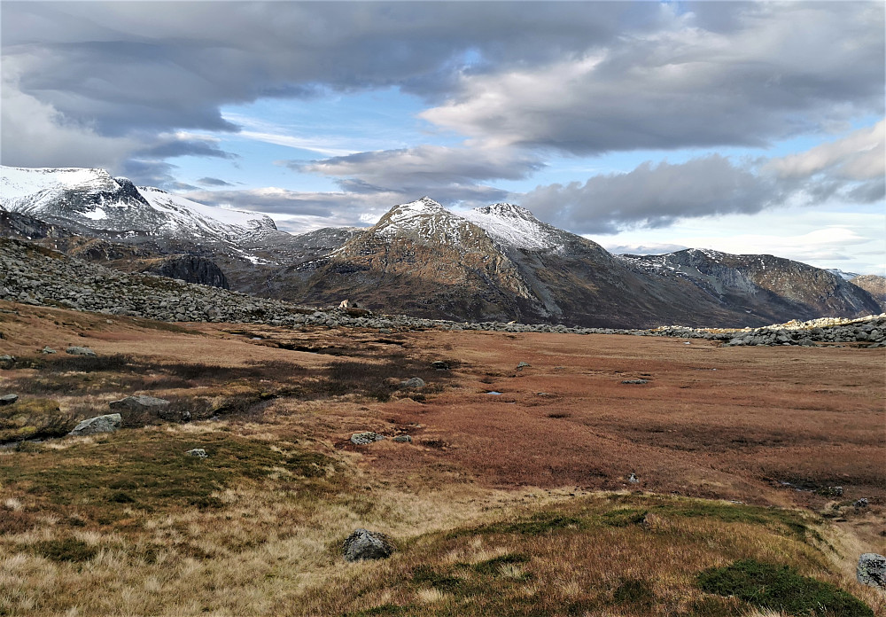 Fantastiske haustfargar i Befringsdalen med eit flott skue av melisdrysset over Tortnegrøegga 1416 moh