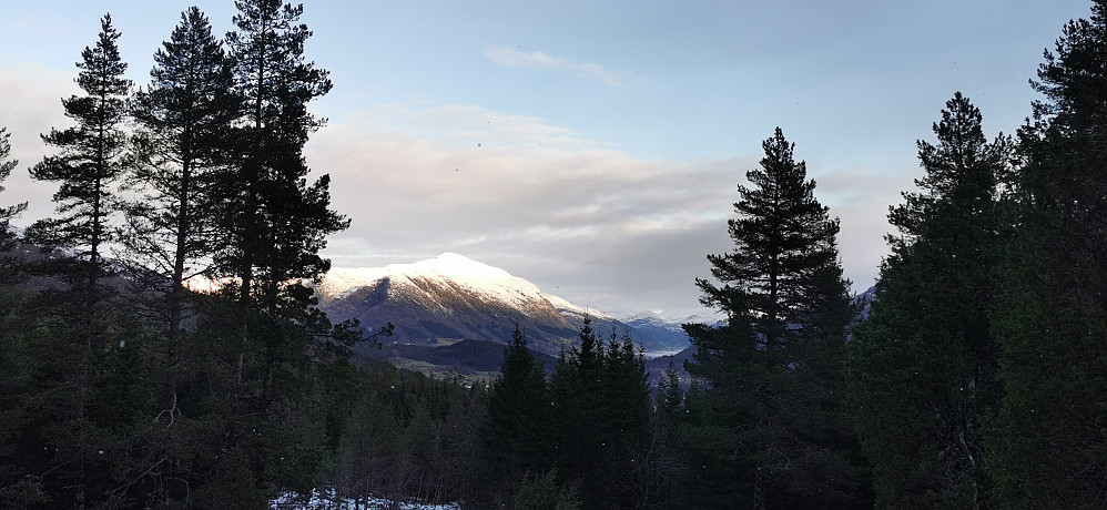 Ifrå Mostøylen mot Tindefjellet
