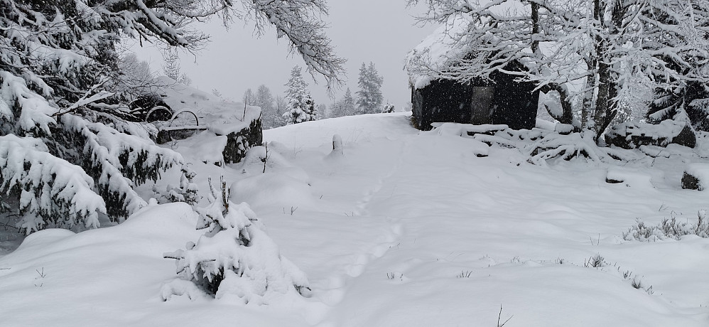 vinterlandet ved Uppstunstøylen.