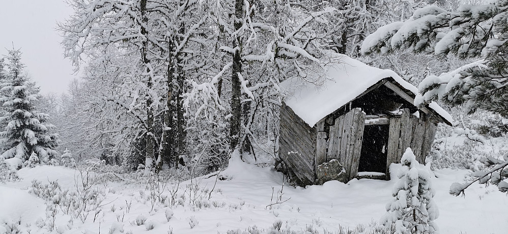Den gamle hardføre og fine løa ved Uppstunstøylen!