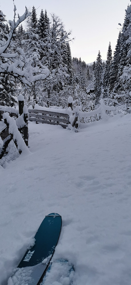 Mjellsnø, pudder, nysnø +++ alle andre fine ord som beskriver kvitt gull i den kalde årstida vår i dette nydelige landet vårt noreg. 