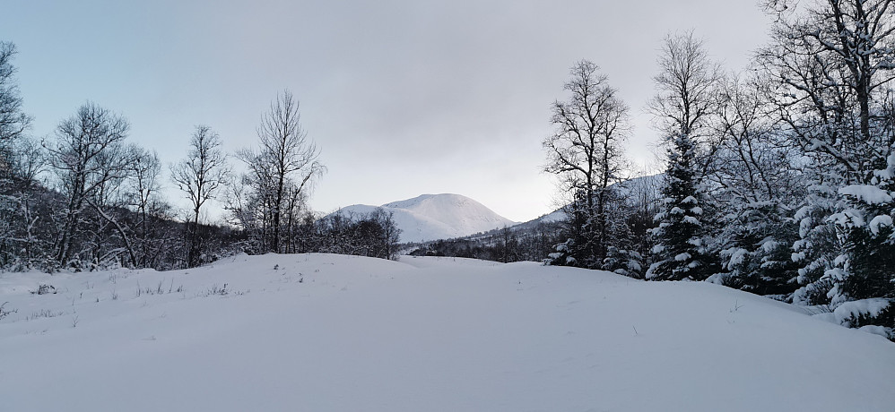 Mot Bjørndalen og vakkert kveldslys mot Isvassnipa 1436 moh 