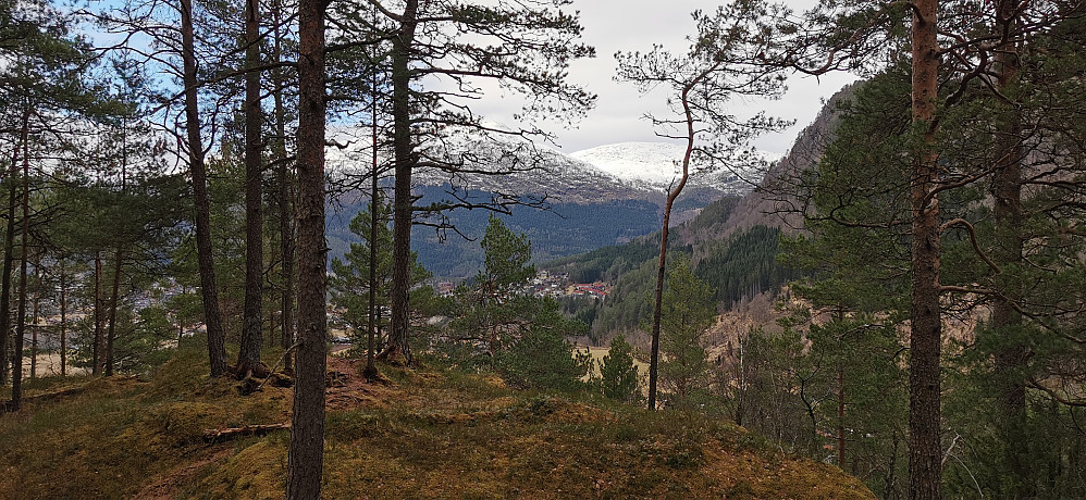 Vårleg og fint på Kletten