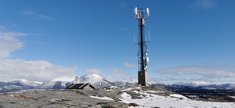 På toppen av Gulberget