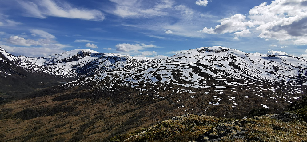 Bakerst Kvitefjellet 1428 og Sanddalsfjellet