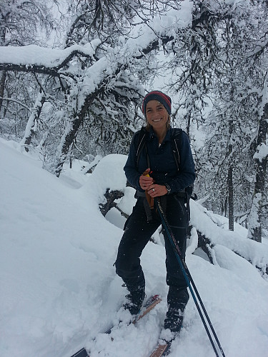 25 cm nysnø på Olahansfjellet og sjeldent at snøen har fått ligge på trea denne vinteren :)