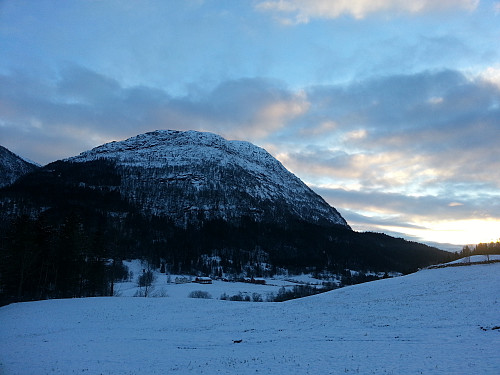 Halvgjerda 856 moh 14.01.14